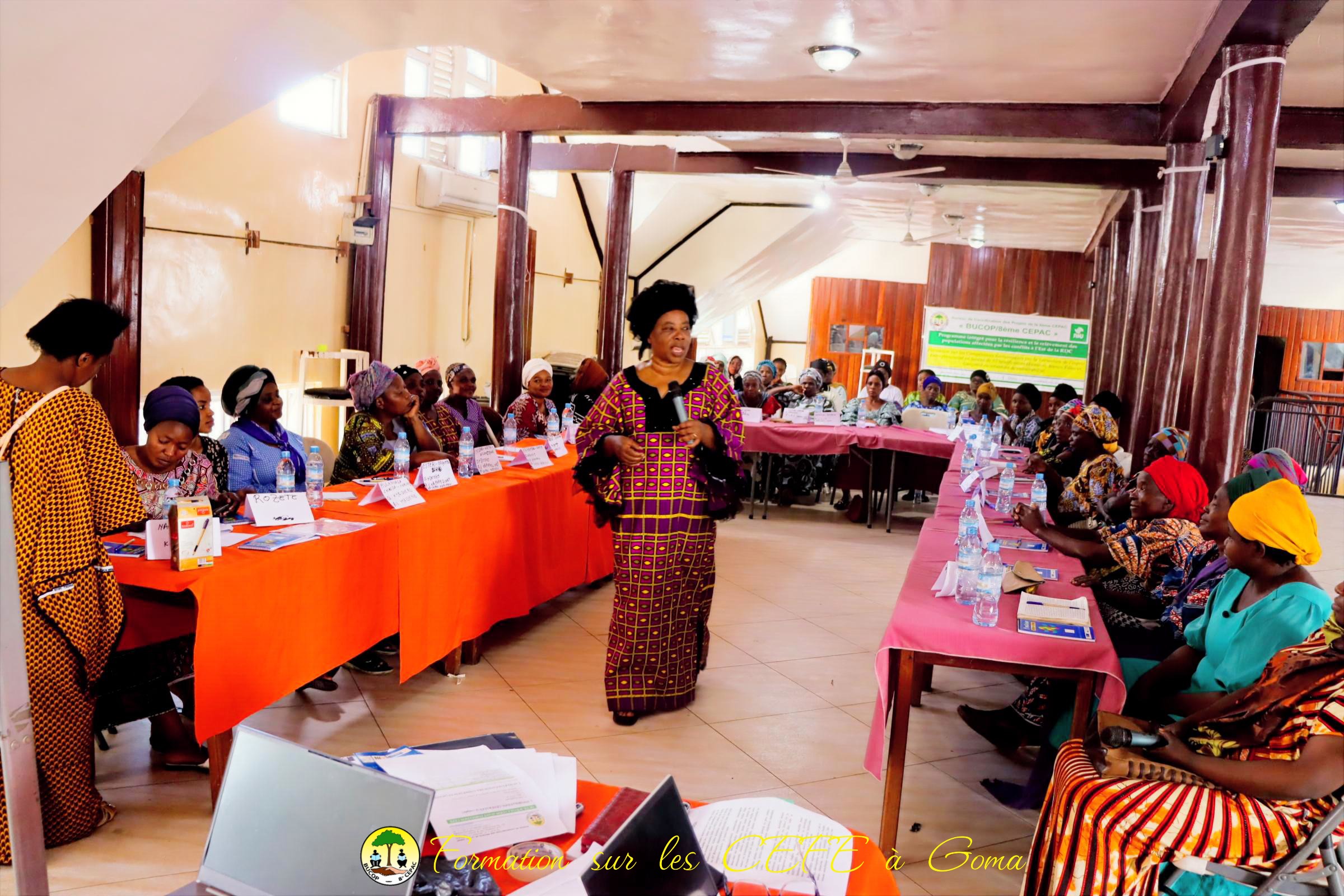 Bukavu et Goma : 100 bénéficiaires (Femmes et jeunes filles et garçons) renforcent leurs compétences économiques à travers la formation CEFE
